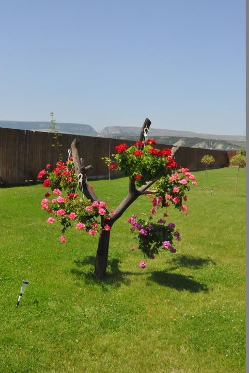 Pensiunea Pusca Si Cureaua Lata Turda Exterior photo